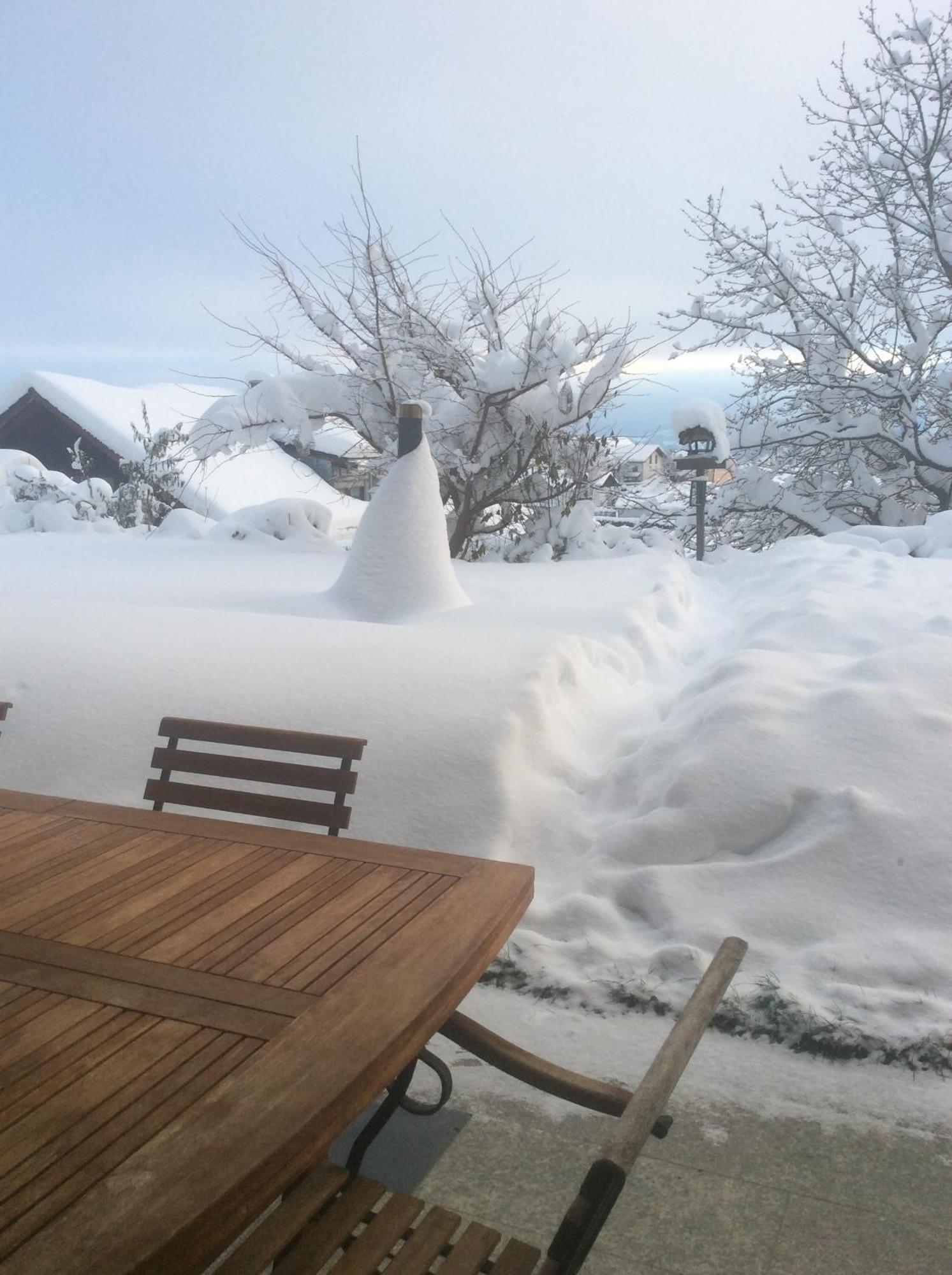 Alpenblickwohnung mit Garten-Terrasse -Eigener Eingang Kirchdorf im Wald Exterior foto